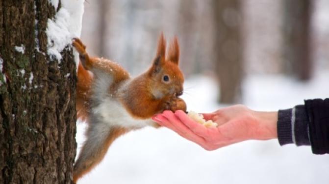 За 9 месяцев 2023 года зарегистрировано 69 случаев укусов детей и подростков животными