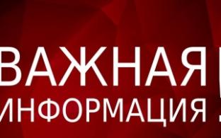 Массовой вспышки лишая в Первоуральске не зафиксировано
