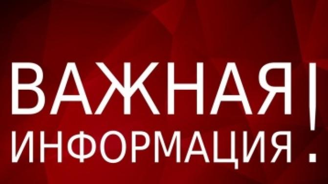 Массовой вспышки лишая в Первоуральске не зафиксировано