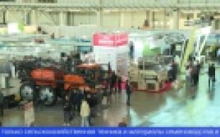 В Свердловской области сегодня стартовали сразу четыре аграрных выставки