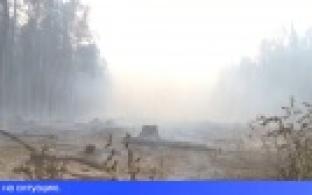 Распространение лесного огня смогли остановить в Свердловской области