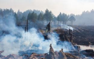 Локализованы все лесные пожары, действующие в Свердловской области