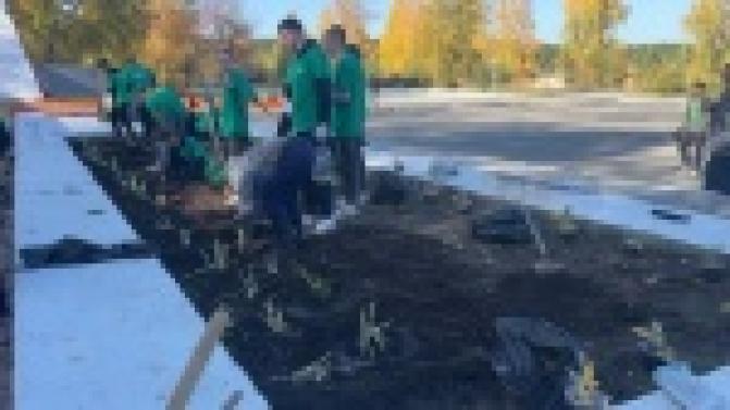 Первоуральцы сегодня вновь вышли на "Большую уборку"