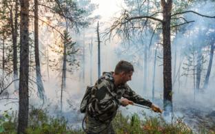Борцы с лесными пожарами в Свердловской области получат выплаты от губернатора
