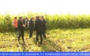 В Свердловской области запущен пилотный проект карбоновой фермы