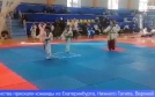 Юные спортсмены из Первоуральска завоевали награды на детском турнире по тхэквондо