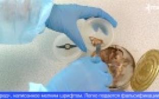 Порядка двадцати процентов молочной продукции в Свердловской области – подделка