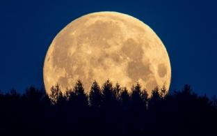 Первоуральцы смогут увидеть "голубую Луну"