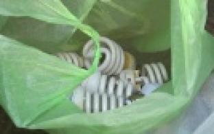 Первоуральцы смогут сдать опасные ртутьсодержащие отходы