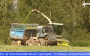 Засуха на Урале неблагоприятно отразилась на сельхозкультурах