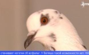 В одном из уральских салонов поселился пернатый ассистент