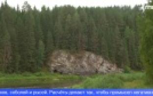 В правительстве Свердловской области утвердили квоты на охоту