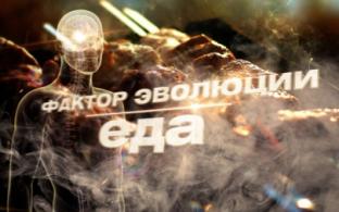 Документальный фильм "Фактор эволюции. Еда" – на телеканале ПТВ