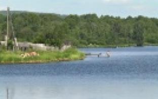 В Первоуральске несколько подростков оказались в больнице после употребления алкоголя