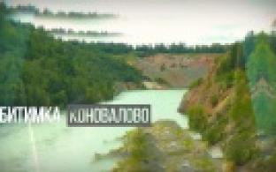 Если дома не сидится. Трейлер