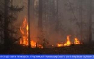 Площадь природных пожаров на Среднем Урале сократилась