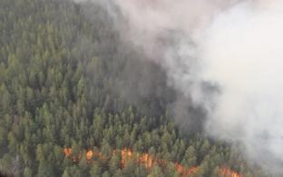 Площадь лесных пожаров на Среднем Урале сократилась за сутки почти в 7 раз