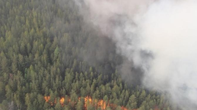 Специалисты ликвидировали 22 лесных пожара за сутки в Свердловской области