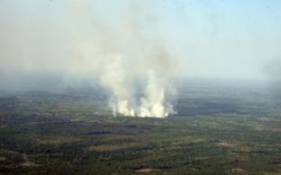 Площадь лесных пожаров за сутки сократилась в два раза на Среднем Урале