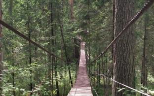 Запрет на посещение особо охраняемых природных территорий частично снят на Среднем Урале