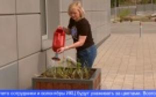 В ИКЦ провели экологическую акцию «ИННОПАРК»