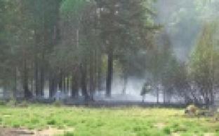 Сильный пожар сегодня охватил лес на берегу Верхнего пруда