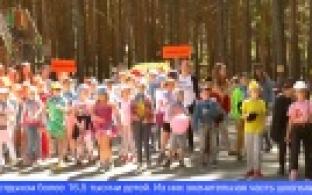 Летнюю оздоровительную кампанию и исполнение бюджета обсудили на заседании гордумы