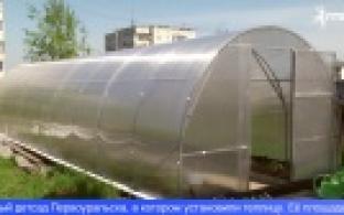 Живую эколабораторию создали в одном из дошкольных учреждений Первоуральска