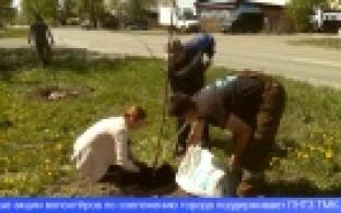 Эковолонтёры продолжают озеленять Первоуральск