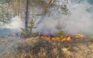 Ситуация с лесными пожарами в Свердловской области