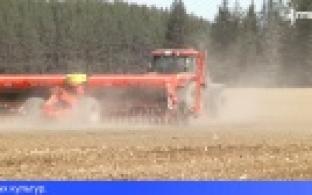 Ранняя весна положительно сказалась на посевной кампании