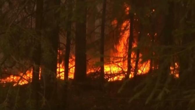 Количество локализованных и ликвидированных пожаров в Свердловской области увеличилось