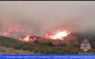 В Свердловской области продолжают бушевать лесные пожары