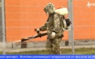 Уральская мастерица превращает доски и пни в произведения искусства