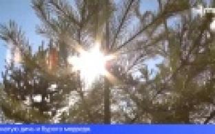 На Среднем Урале приостановили сезон весенней охоты