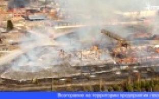 Прокуратура организовала проверку в связи с пожаром в посёлке Прогресс