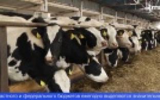 Как сельхозкооперативы готовятся к старту посевной кампании