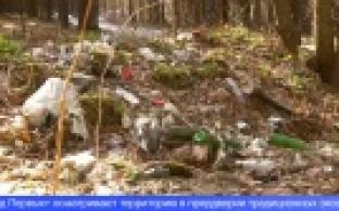 Первоуральцев приглашают принять участие в экоквесте «Чистые игры»