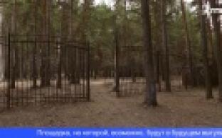 В Парке новой культуры может появиться площадка для выгула собак