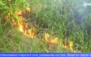 С 15 апреля в Свердловской области вводится особый противопожарный режим