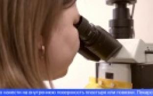 Уральские химики разработали уникальный гель