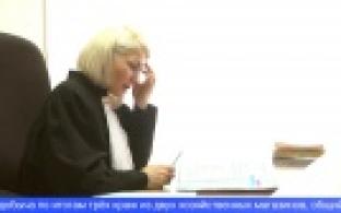 В Первоуральске начался судебный процесс по делу о кражах из хозяйственных магазинов