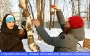 Эковолонтеры вместе с горожанами провели полезную прогулку