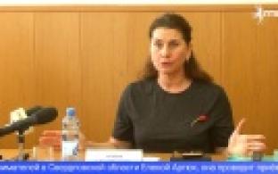 Уполномоченный по защите прав предпринимателей Елена Артюх провела приём в Первоуральске