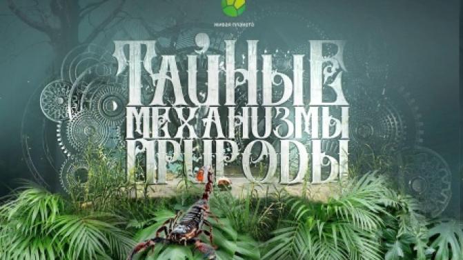 Смотрите сегодня документальный фильм "Тайные механизмы природы" — в 13:45 на телеканале ПТВ