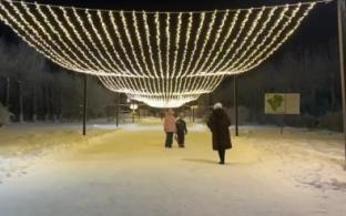 В Парке новой культуры оставят часть новогодних украшений