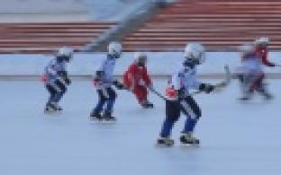 В Первоуральске проходит областное первенство по хоккею среди юных спортсменов