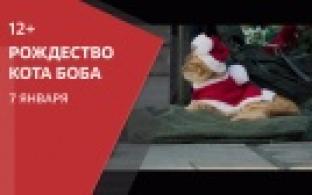 Семейный фильм "Рождество кота Боба" — на ПТВ
