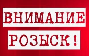 Госавтоинспекция Первоуральска разыскивает очевидцев ДТП