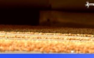 Уральские аграрии запустили современную линию подготовки семян